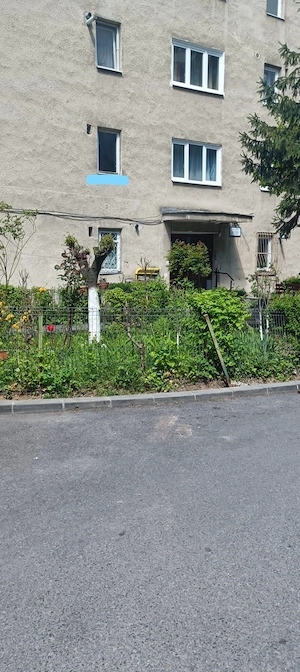 Apartament 2 camere 38 mp, etaj 1, Aleea Micuș, Mănăștur   ideal renovare   investiție 