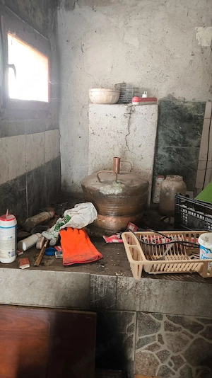 Pensiune in Cenad de vanzare - imagine 14