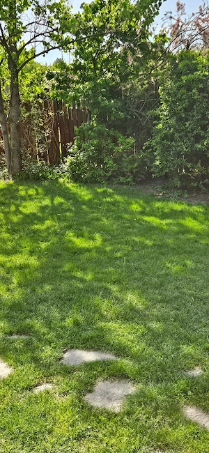 Teren pentru casa - Mosnita Noua  , in spate la Mega Image !!!