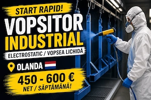 Vopsitor industrial Olanda   450-600  Net saptamana