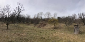 Teren intravilan 2.454 mp cu casă cadou – Zona Runcu, ideal pensiune - imagine 2