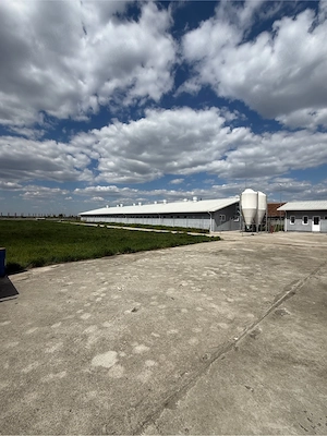 Vand Ferma zootehnica de porci plus: Sem Pezzaioli, Tractor, Vidanja si utilaje