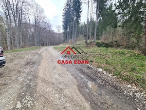 Teren extravilan Valea Doftanei 20.500 mp 6e mp - imagine 20