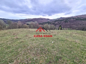 Teren extravilan Valea Doftanei 20.500 mp 6e mp - imagine 13