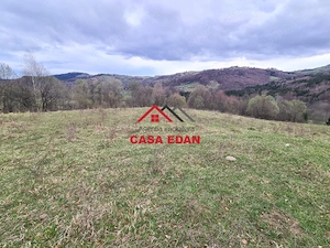 Teren extravilan Valea Doftanei 20.500 mp 6e mp - imagine 5