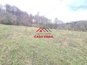 Teren extravilan Valea Doftanei 20.500 mp 6e mp - imagine 8