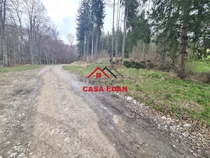 Teren extravilan Valea Doftanei 20.500 mp 6e mp - imagine 18