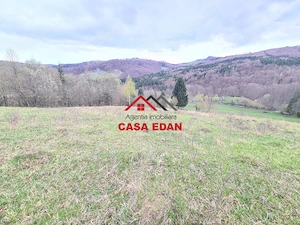 Teren extravilan Valea Doftanei 20.500 mp 6e mp - imagine 9