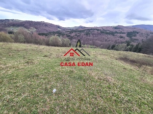 Teren extravilan Valea Doftanei 20.500 mp 6e mp - imagine 16