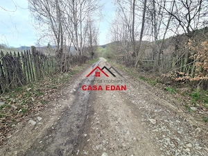 Teren extravilan Valea Doftanei 20.500 mp 6e mp - imagine 19