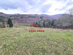Teren extravilan Valea Doftanei 20.500 mp 6e mp - imagine 10