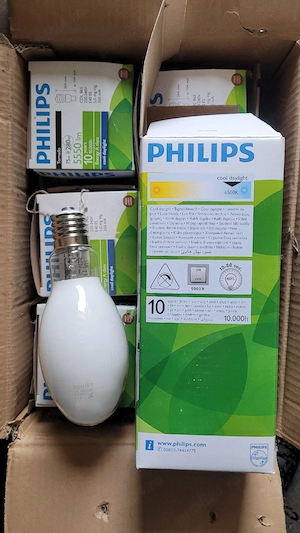 Bec economic Philips