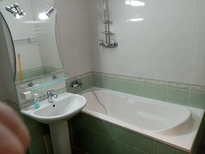 Apartament 2 camere de inchiriat - Racadau, Strada Jepilor 490   - imagine 8