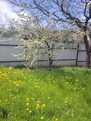 Casa de vanzare in Sacele la pret de apartament