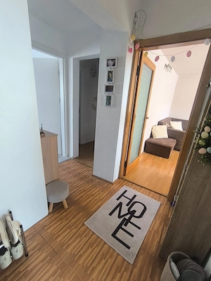 Apartament 3 camere Dambovita etaj 2 amenajat cu boxa mare