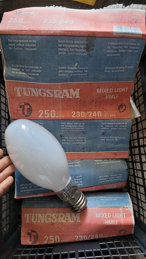 Bec 250W Thungsram