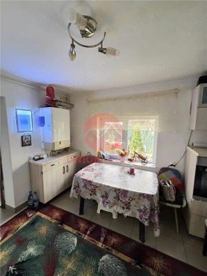 Casa Coiciu Locuibila, Teren 270 MP, Str. 8 Martie - imagine 8