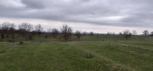 Teren extravilan 3.700 mp  zona Tufeni  - imagine 3