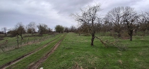 Teren extravilan 3.700 mp  zona Tufeni  - imagine 5