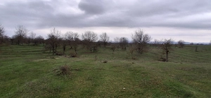 Teren extravilan 3.700 mp  zona Tufeni  - imagine 2