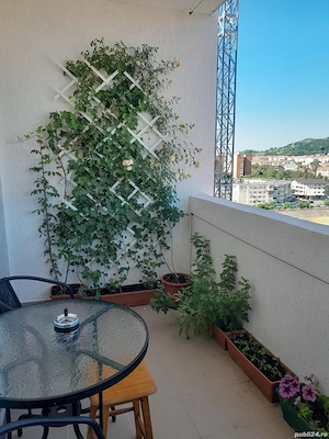 Vând apartament 4 camere Rm. Vâlcea - imagine 8