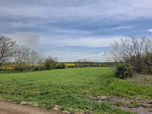 Vând teren în Frumușani - imagine 4