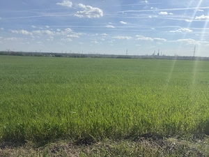 Pământ intravilan 5000 m2 zona chitorani - imagine 2