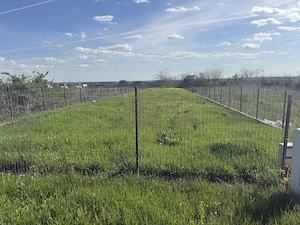 Pământ 1000 m2 preț 45 euro negociabil  - imagine 2