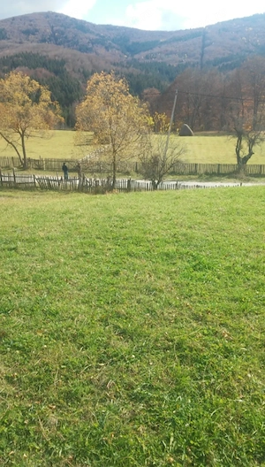 Teren 1237 mp Zona Poduri pe DJ 102I Trăisteni Prahova - imagine 4