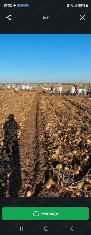 Lucru in spania agricultura  mmmm - imagine 2
