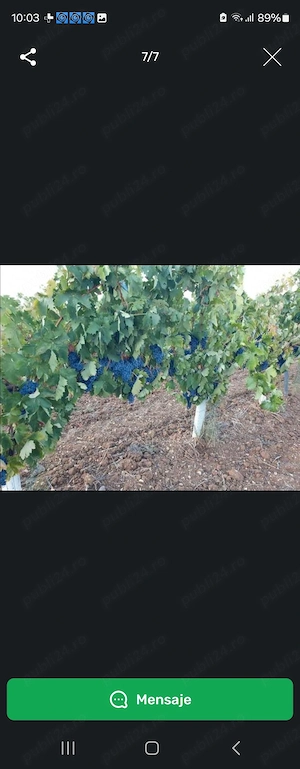 Lucru in spania agricultura  mmmm