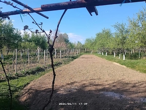 vand casa  - imagine 3