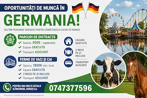 Locuri de muncă în Germania   oportunități disponibile acum