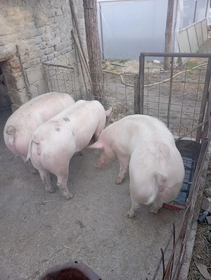 se vinde 2 din 4  - imagine 4