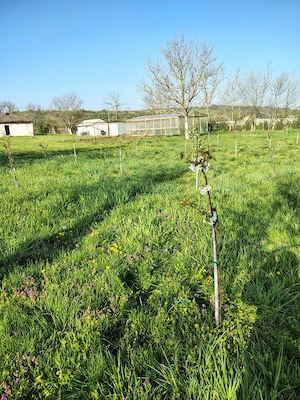 Proprietate de vanzare -28km de Craiova