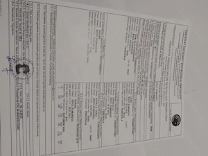 Tauri de bivol cu certificat de origine - imagine 4