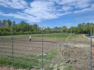 Vand 4 loturi de teren intravilan, înconjurat de pădure la doar 20 minute de București 