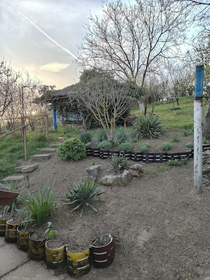 Casă de vânzare în Zau de Câmpie (jud. Mureș)   liniște, spațiu și potențial. - imagine 5