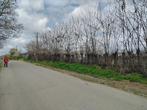 Teren central 1801 mp + casa vara in Ijdileni jud Galati