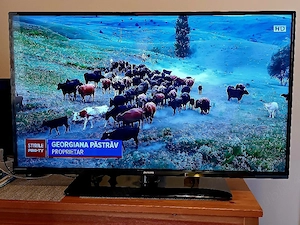 TV LED Philips, full HD, 108 cm