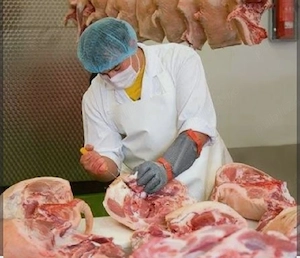 Locuri de muncă Germania   1800 + net, plecări rapide