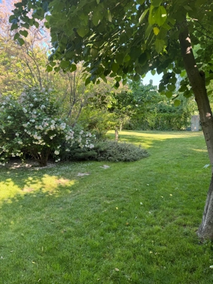 Domeniu privat 2090mp cu piscina - imagine 9