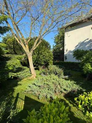 Domeniu privat 2090mp cu piscina - imagine 8