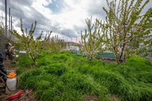 Hotel / Pensiune cu 21 camere de vânzare în zona Fermelor - imagine 4