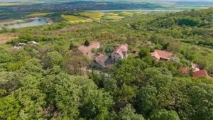 De vânzare casă și teren 1.425 mp - Podgoria - imagine 14