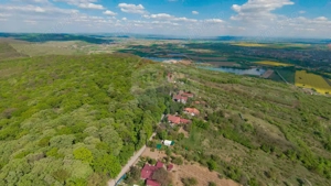 De vânzare casă și teren 1.425 mp - Podgoria - imagine 11