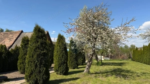 Casă cu 3 camere, gata de mutat - imagine 3
