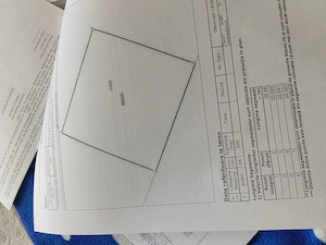 Teren cihei apateului 