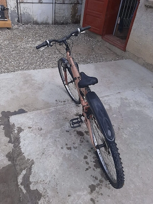 bicicleta Mountainbike