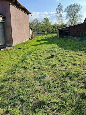 Vand 5 ari de teren Coltau